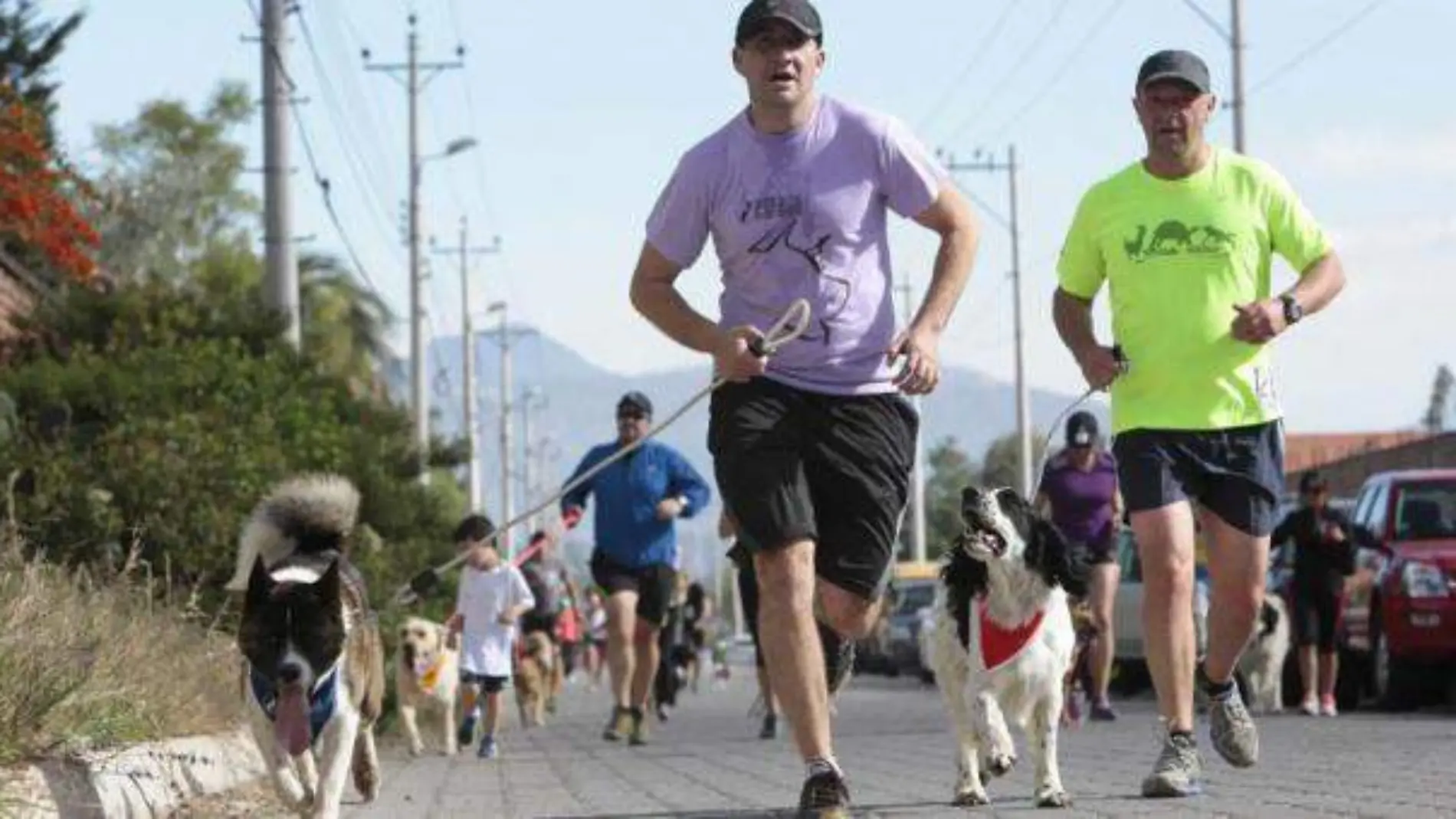 carrera con mascotas